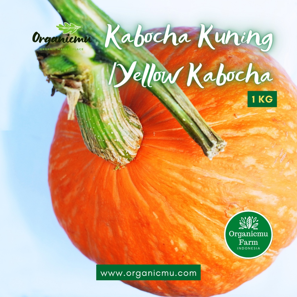 

Organicmu - Kabocha Kuning 1 kg