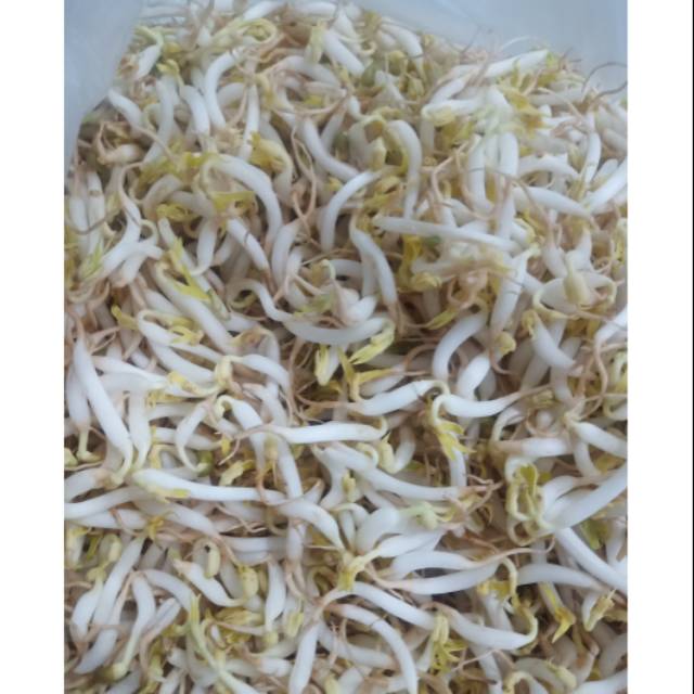

Camba 250gr