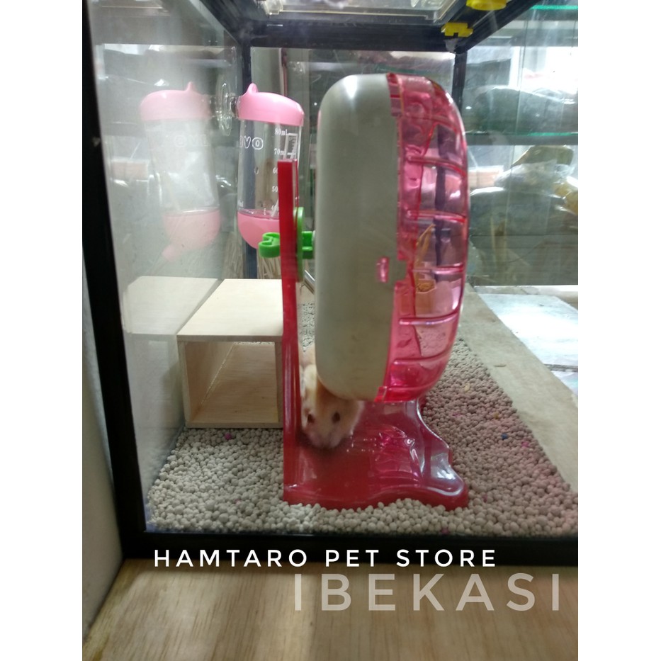 Terarium kandang Hamster syirian / robo / camble aquarium hampot