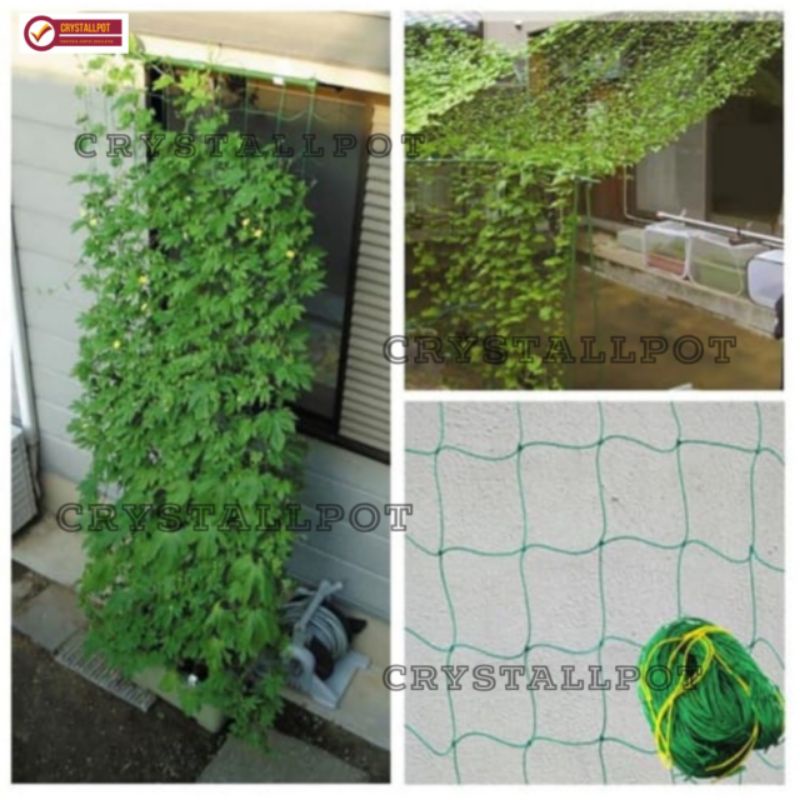 JARING RAMBATAN TANAMAN PLANT CLIMBING NET 1,8 METER - JARING RAMBATAN TANAMAN