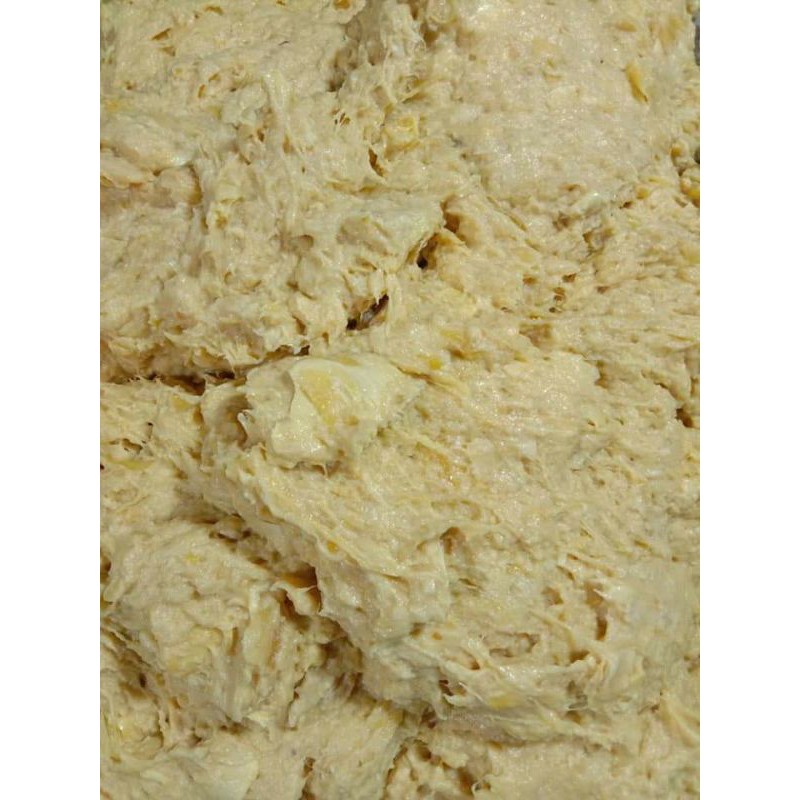 

tempoyak durian