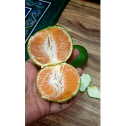 

jeruk garut asli
