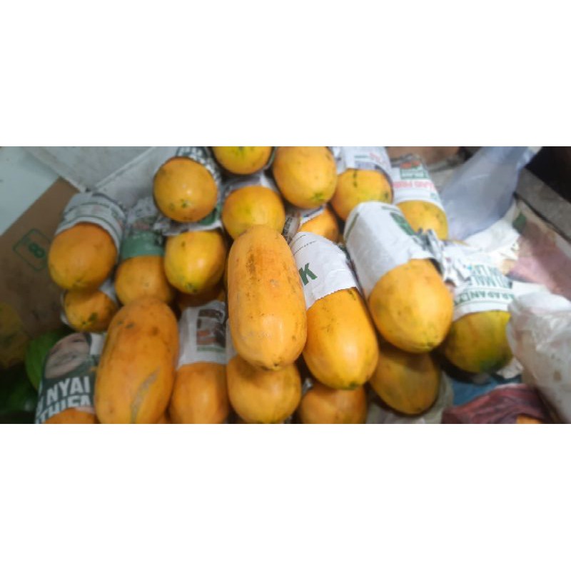 

pepaya california perbuah