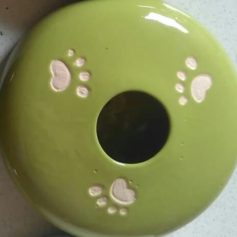 BISA COD tempat minum keramik lubang kecil untuk kucing persia uk L - Hijau TERBARU Kode 724