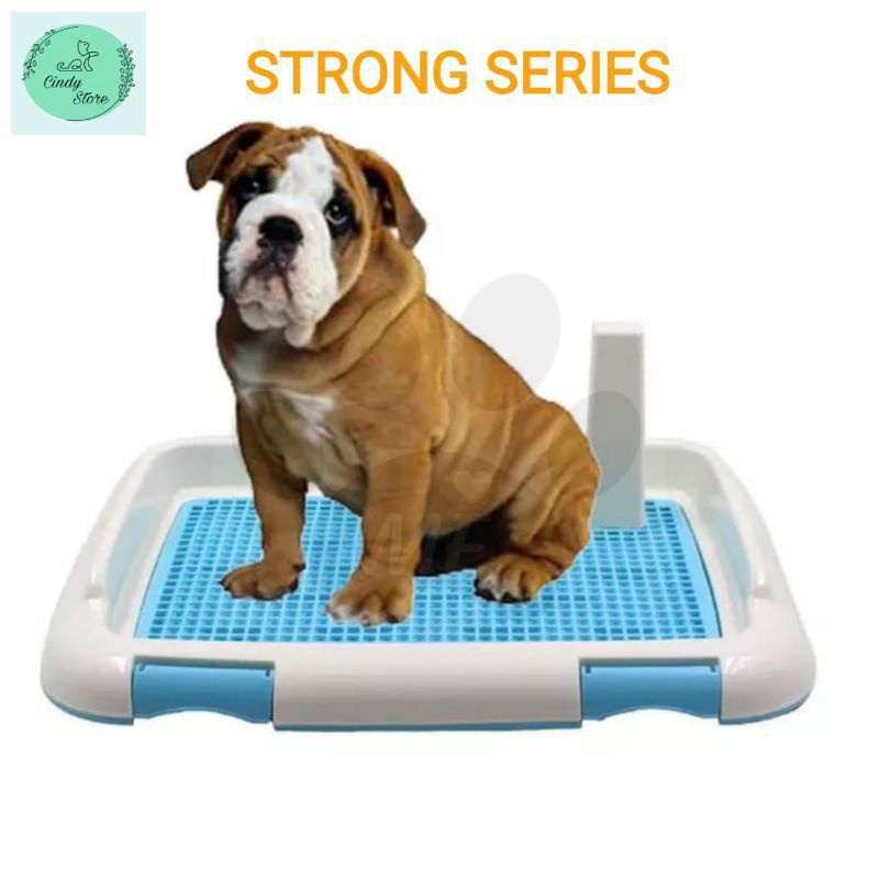 Pet Toilet Tempat Pee Pup Anjing Tempat Kencing Anjing