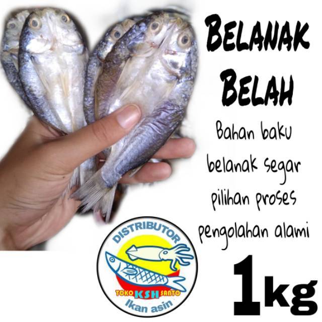 

Ikan asin belanak belah-1kg