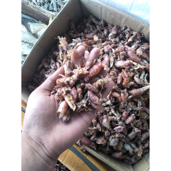 

CUMI ASIN SUNGSANG/ CUMI ASIN TELUR TERENAK DAN TERMURAH