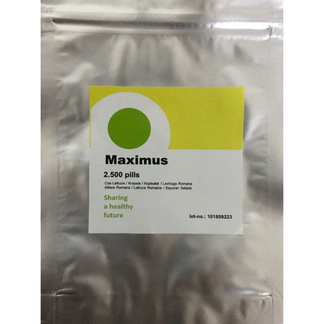 2500 seed - Benih Romaine Maximus Rijk Zwaan