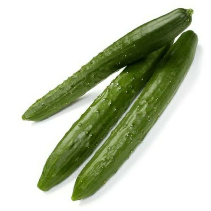 

Zucchini Timun jepang (500g)
