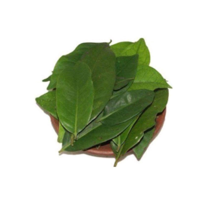 

daun salam/ bumbu dapur 500gram