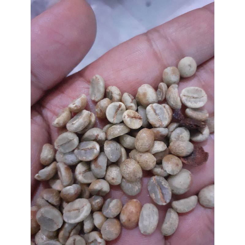 

arabica natural hutan
