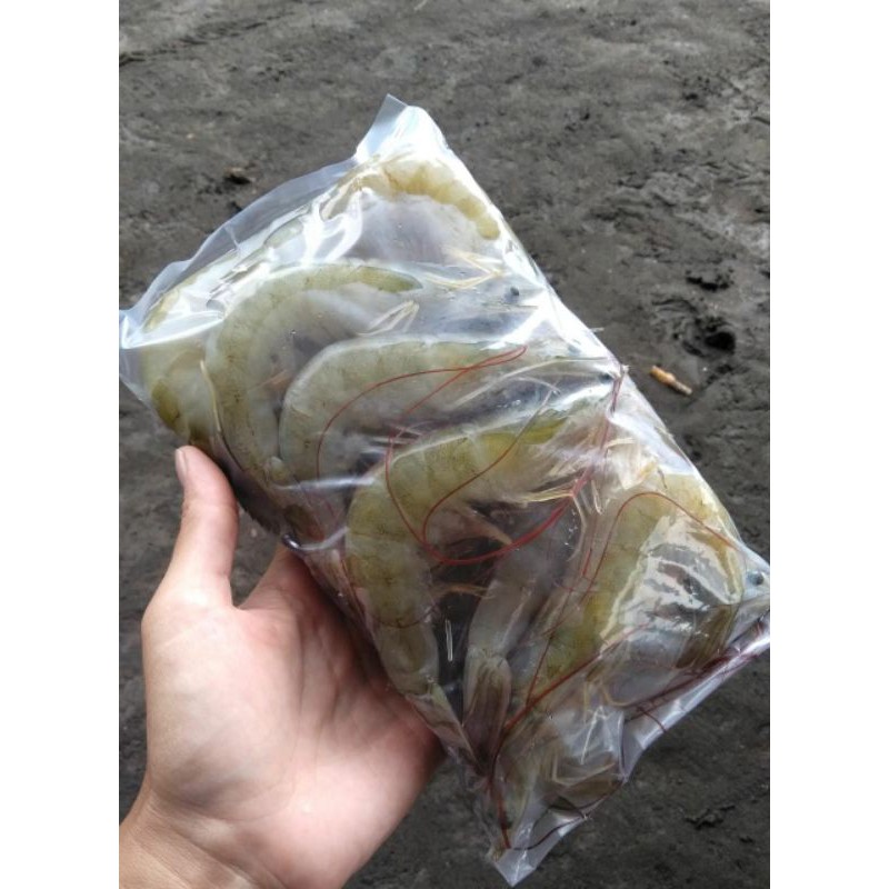 

udang vaname 1kg khusus jawa tengan jawa barat jogja dan DKI minim order 30kg