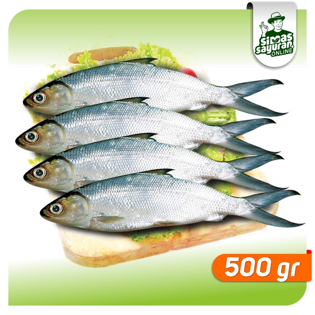 

Ikan Bandeng 500 gr