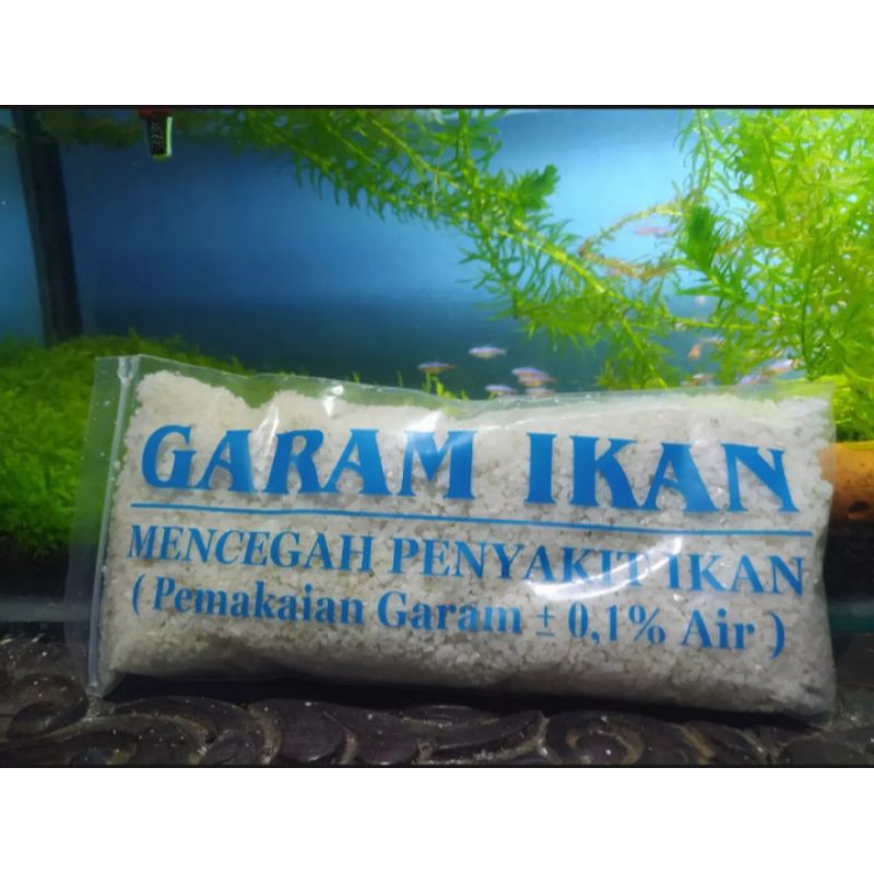 garam ikan