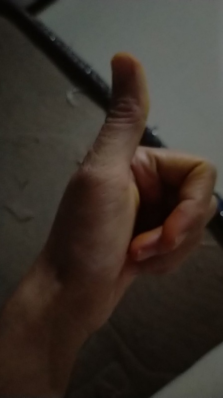 Pekanbaru - Nice Ikan Dan Donat 1 Kg