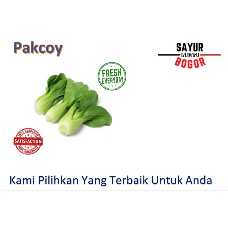 

Pakcoy / Pakcoy Segar / Sayuran Segar