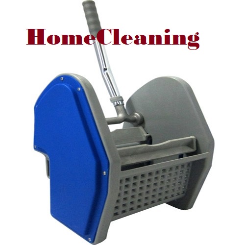 Blue Plastic Wringer