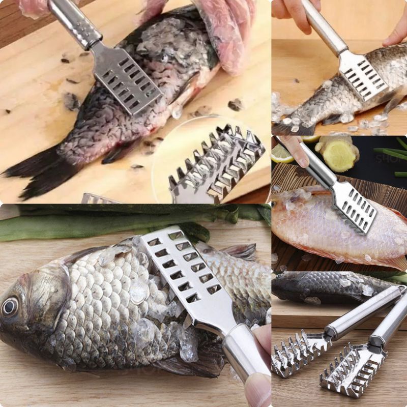 ALAT PEMBERSIH SISIK IKAN STAINLESS