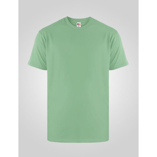 NSA - Premium Cotton T-Shirt 7200 Green Ash
