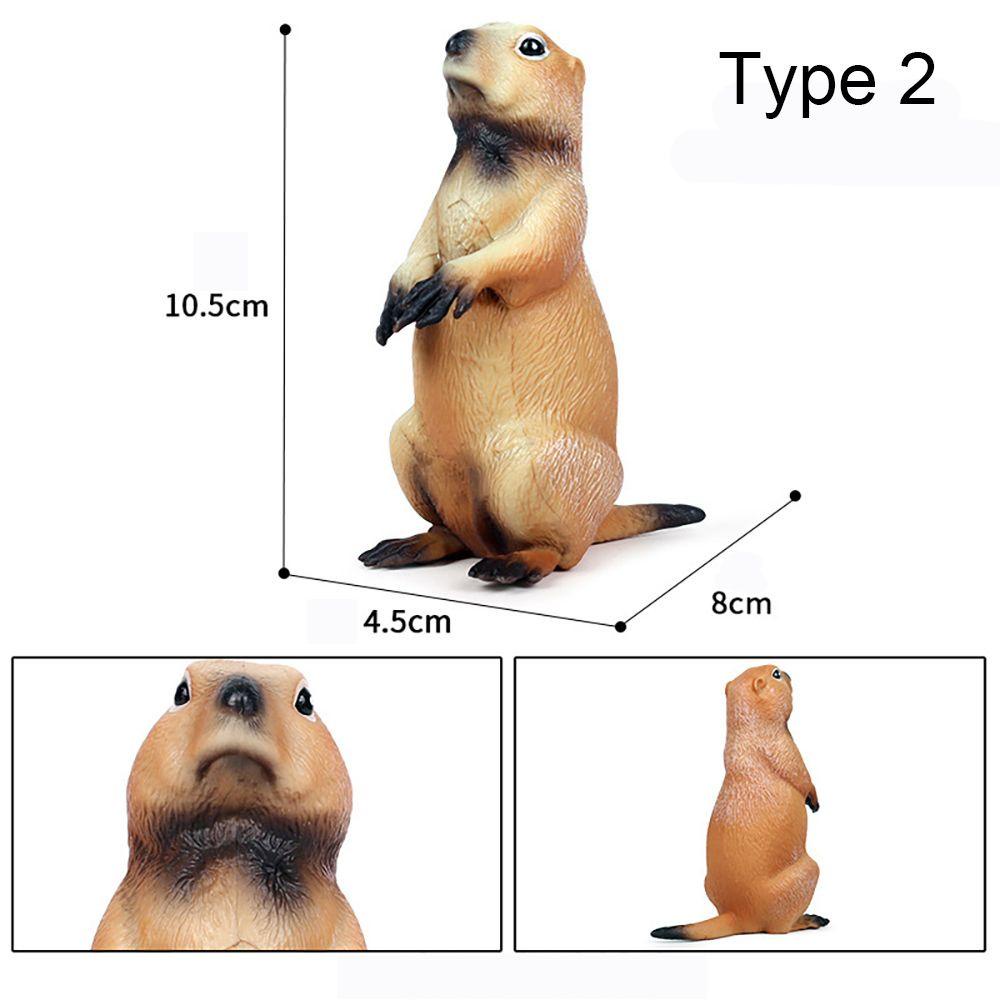 R-flower Mainan Simulasi Marmot Realistis Untuk Edukasi Dini Anak