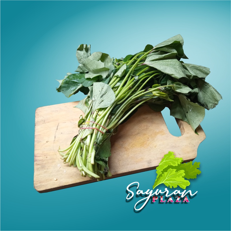 

Daun Ubi Jepang
