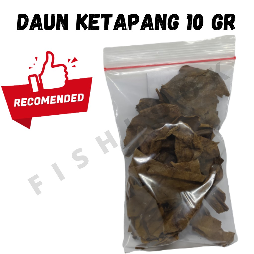 DAUN KETAPANG LAUT OLAHAN 10 GRAM SIAP PAKAI