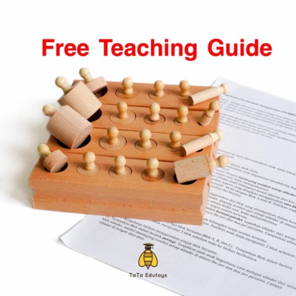 

Montessori Knobbed Socket Cylinder Mainan Edukasi Tata Edutoys Limited