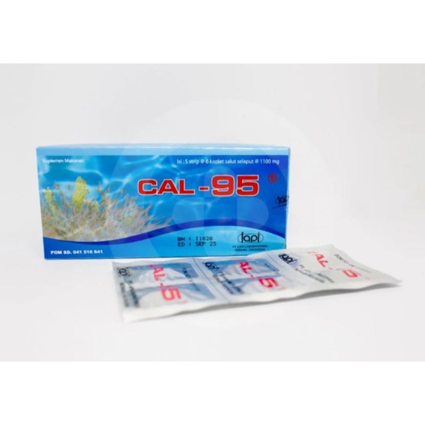 CAL-95 CAPLET - VITAMIN IBU HAMIL DAN MENYUSUI