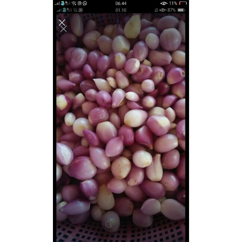 

Bawang merah kupas segar