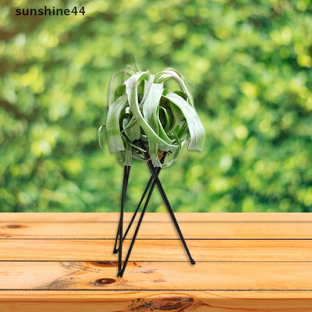 Sunshine Stand Holder Pot Bunga / Tanaman Bentuk Geometri Bahan Besi