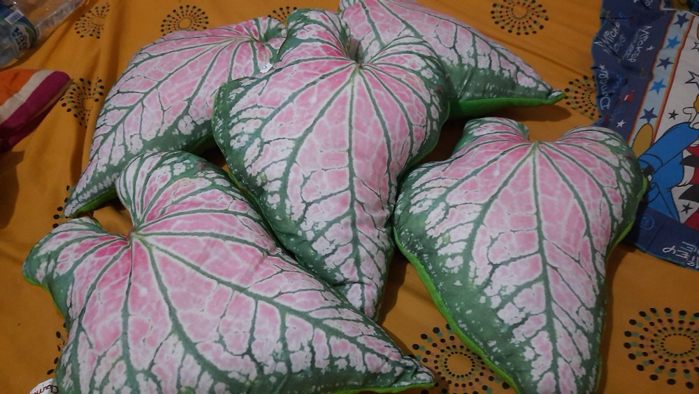 Bantal Custom Bantal Daun Keladi Bantal Unik Daun Caladium