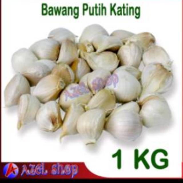 

Bawang Putih Kating 1 Kg Bukan bawang putih banci Bau lebih nyengat