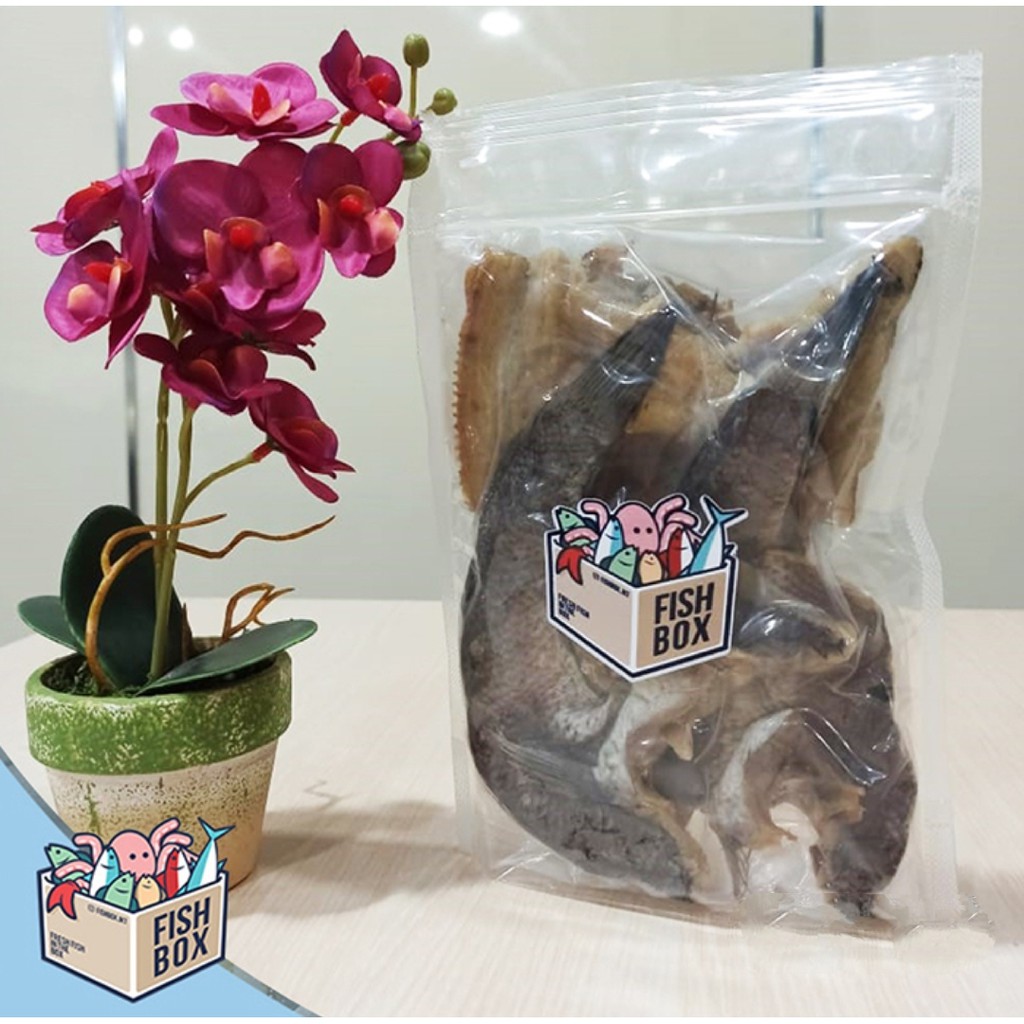 

FISHBOX – IKAN ASIN GABUS