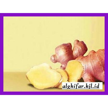 

lanoisidartdrink- termurah jahe merah cangkir mas original -asliii-bngittt.