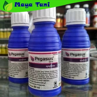 Obat Insektisida Pegasus 500SC