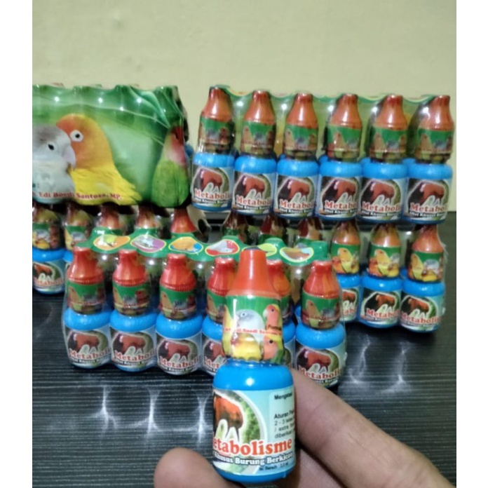 METABOLISME BURUNG DR EDI