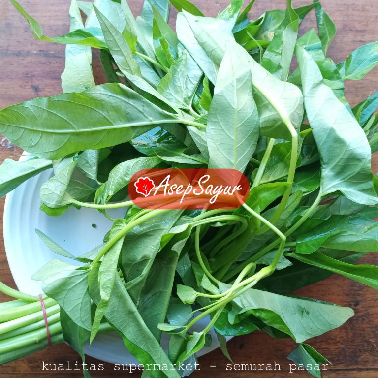 

KANGKUNG per IKAT ASEPSAYUR BANDUNG