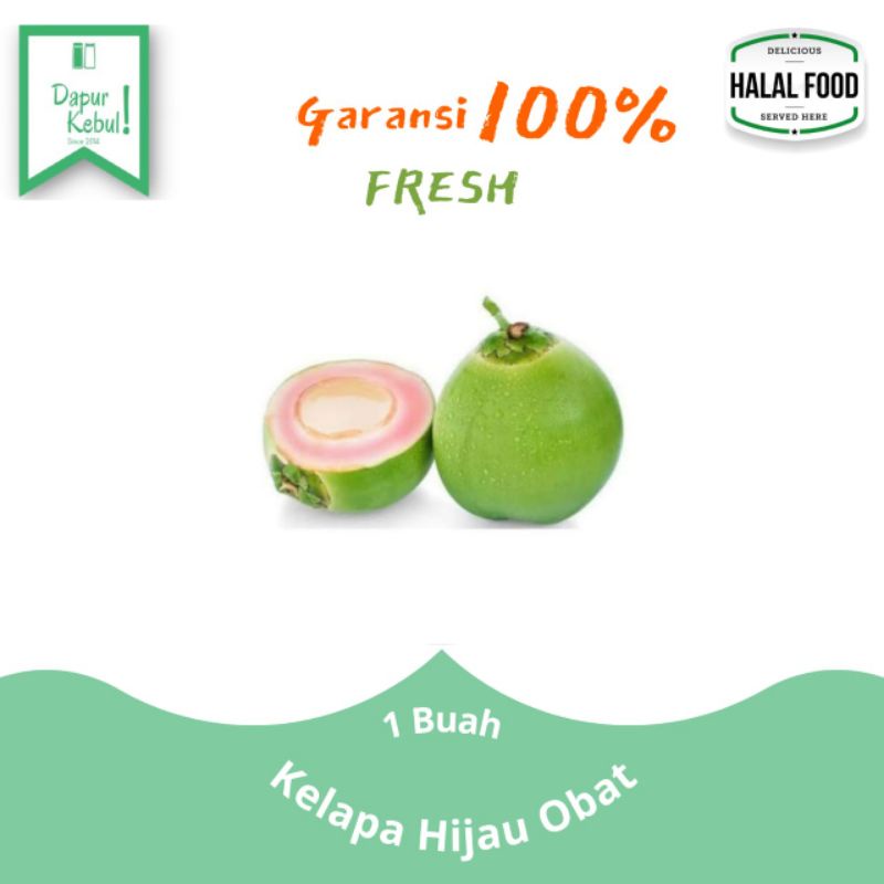 

kelapa ijo obat