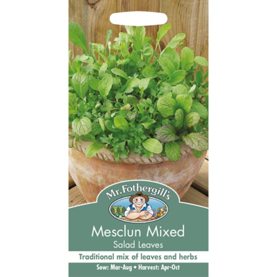 Benih Mr.F Mesclun Mixed Salad Leaves