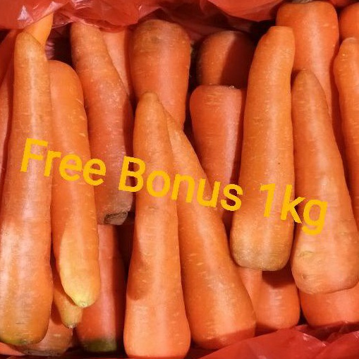

Wortel Brastatagi 1kg + Gratis Bonus