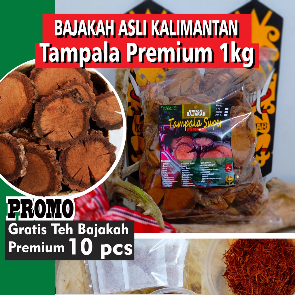 [ASLI] Bajakah TAMPALA Super Premium (Besar) 1kg +BONUS Teh Bajakah/ Akar Kayu Bajakah Kalimantan