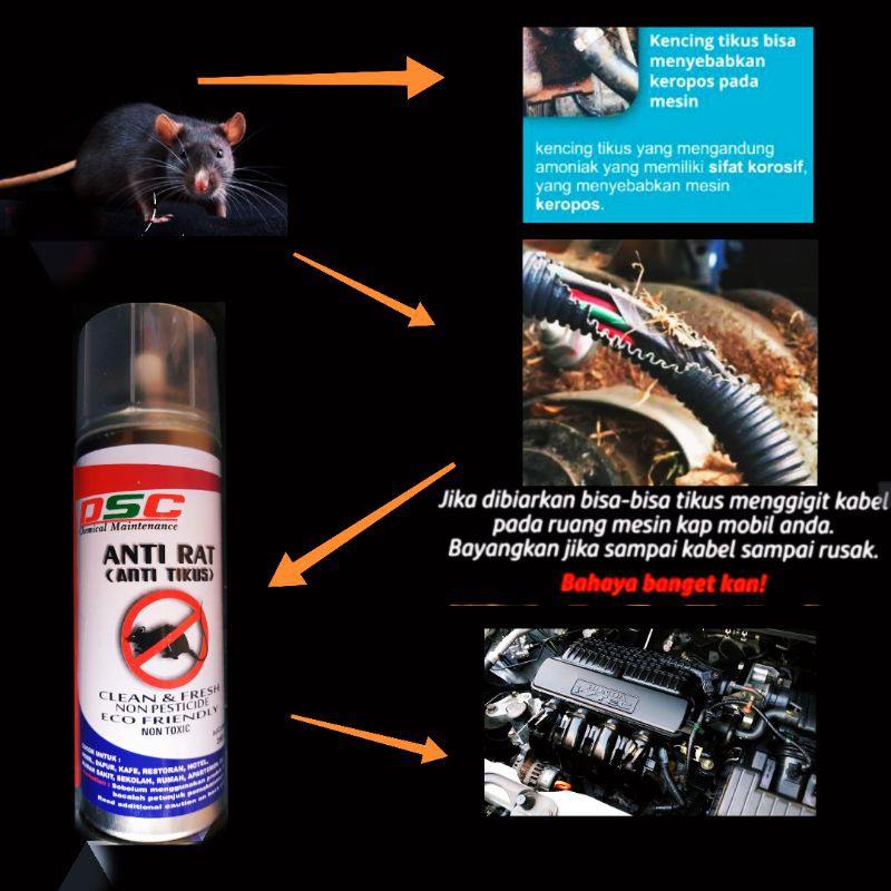 Rat tikus DSC anti tikus isi parfum anti tikus Super pengusir tikus mobil motor dapur dan ruangan