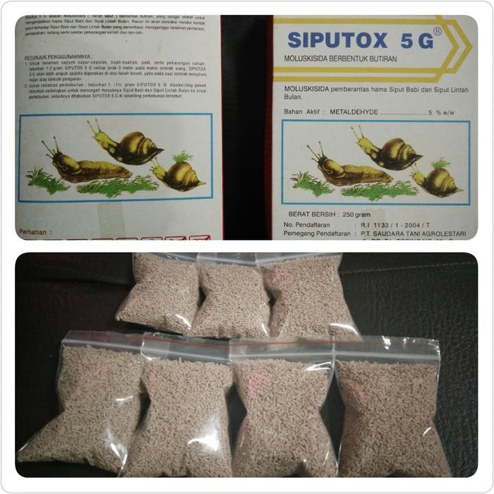 Promo Pembasmi Hama Siput/Keong (Siputox 5G) Terbagus