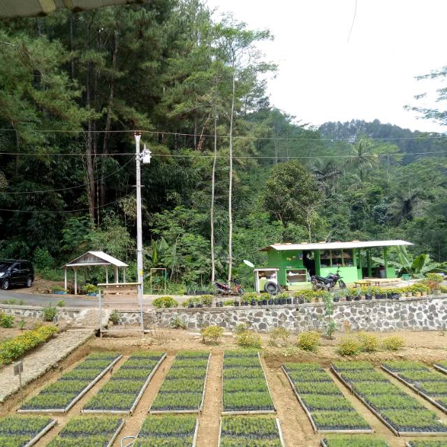 tantoabhipraya
