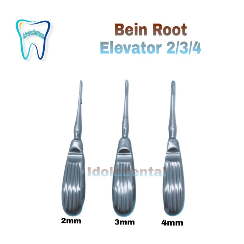 Dental Bein Root Elevator Satuan Alat Pencabut Gigi 2MM / 3MM / 4MM