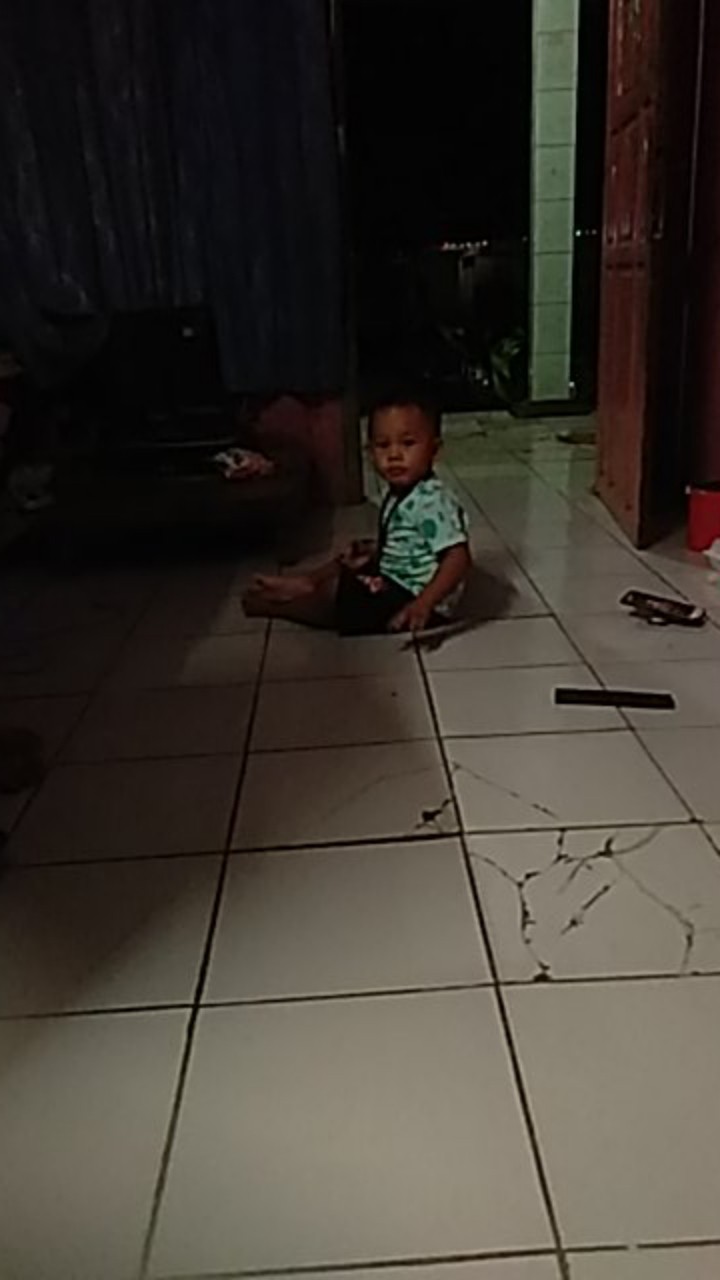 Tang Listrik Potong 6 Inch Camel