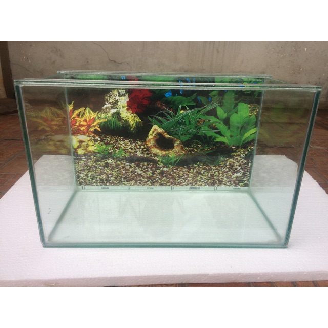 Aquarium Kaca 40 X 20 X 25 Shopee Indonesia