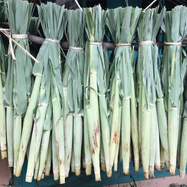 

Terubuk sayur