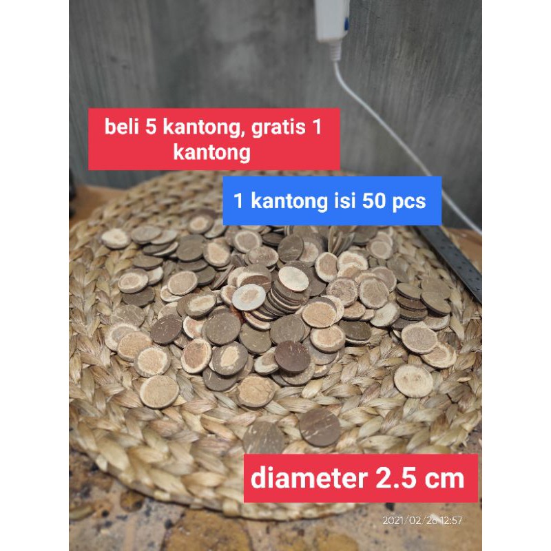 Tatakan Moss aquascape
