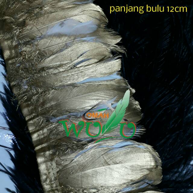 Bulu Ayam Gold Putih Aksesoris Bulu
